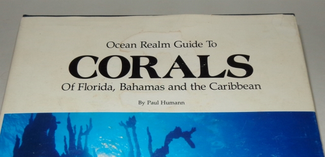 Image for Ocean Realm Guide to Corals of Florida, Bahamas and the Caribbean