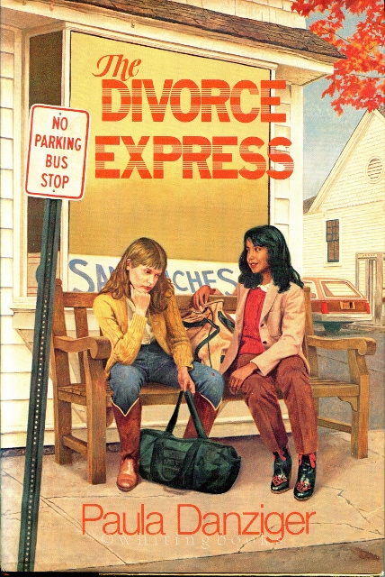 Image for The Divorce Express