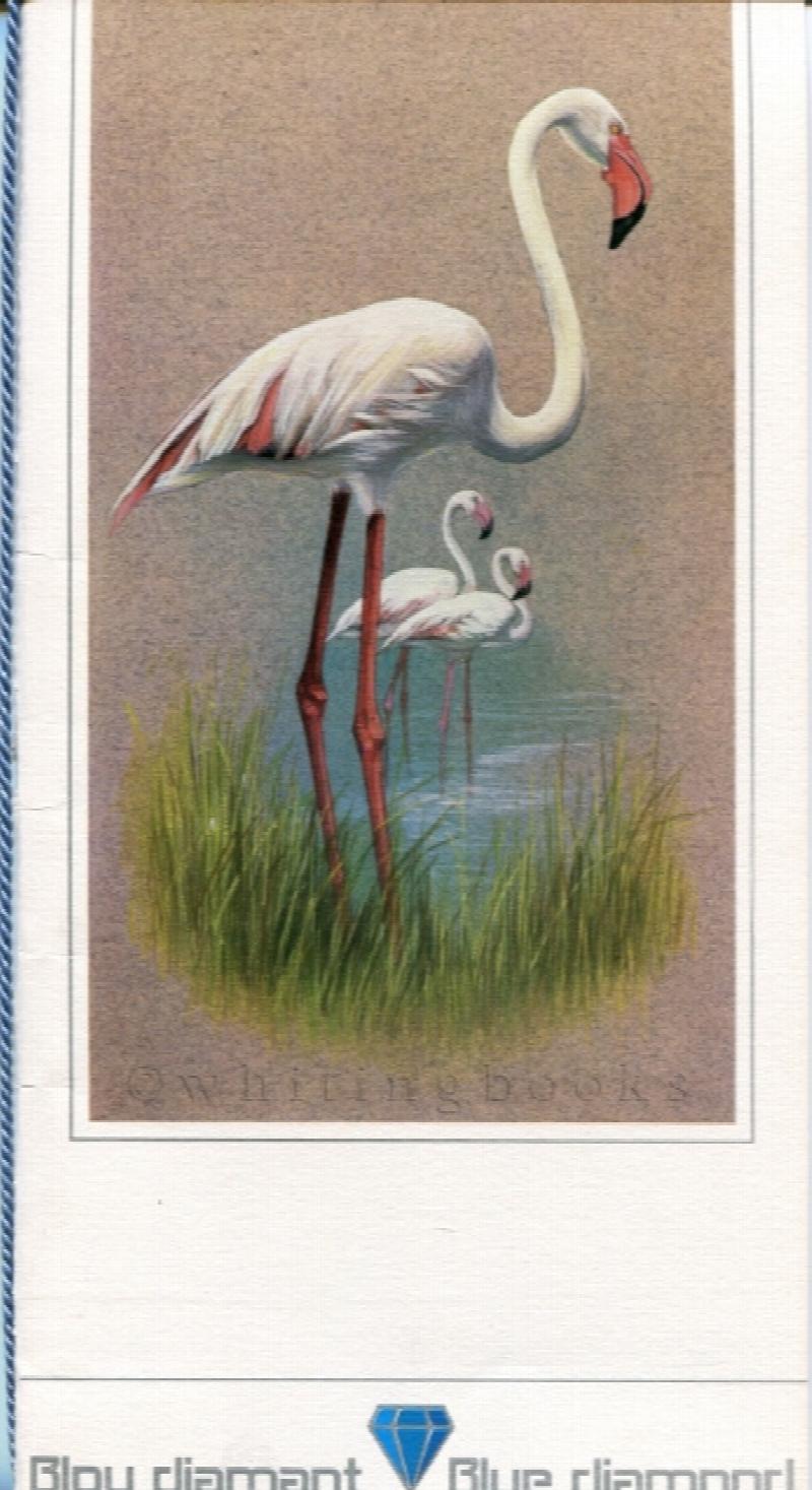 Image for South African Airways (SAA) / Suid Afrikaanse Lugdiens (SAL) Blue Diamond Menu with Cover Bird Illustration Circa 1980