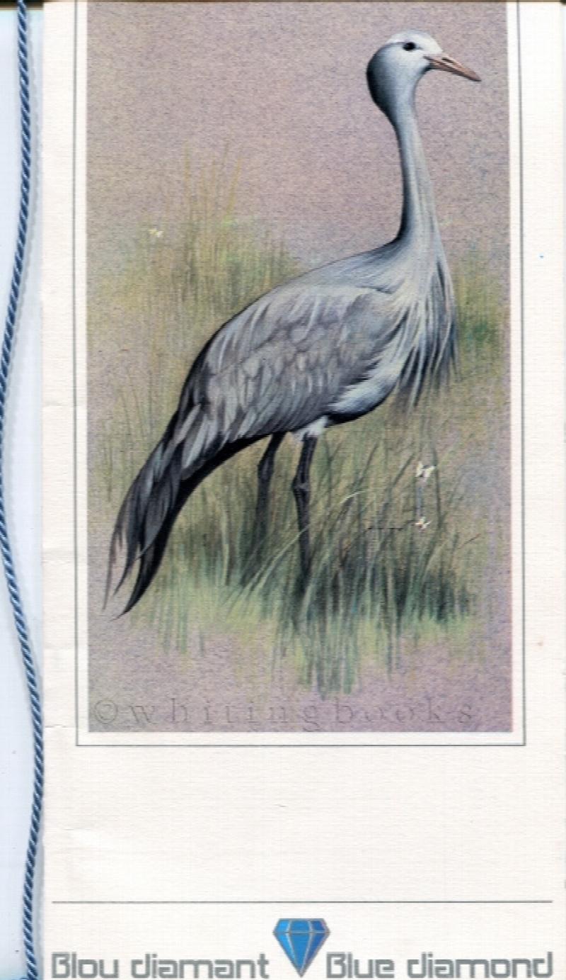 Image for South African Airways (SAA) / Suid Afrikaanse Lugdiens (SAL) Blue Diamond Menu with Cover Bird Illustration Circa 1980