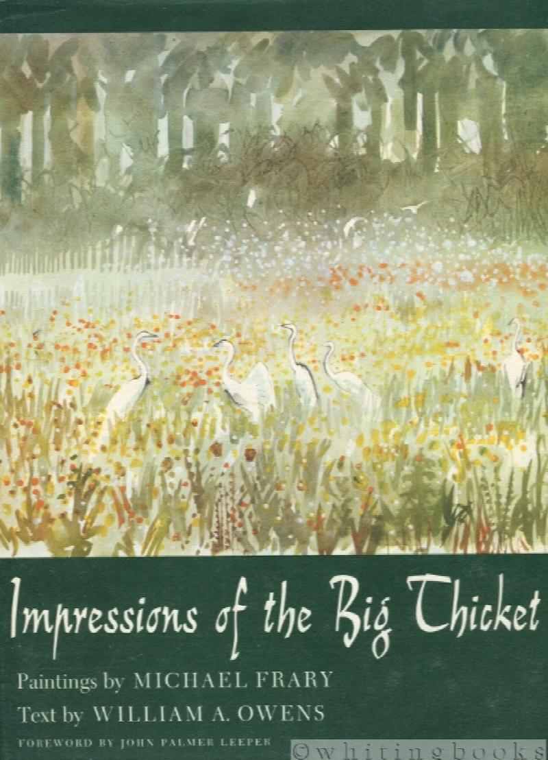 Image for Impressions of the Big Thicket (Number 4, Blaffer Series of Southwestern Art)