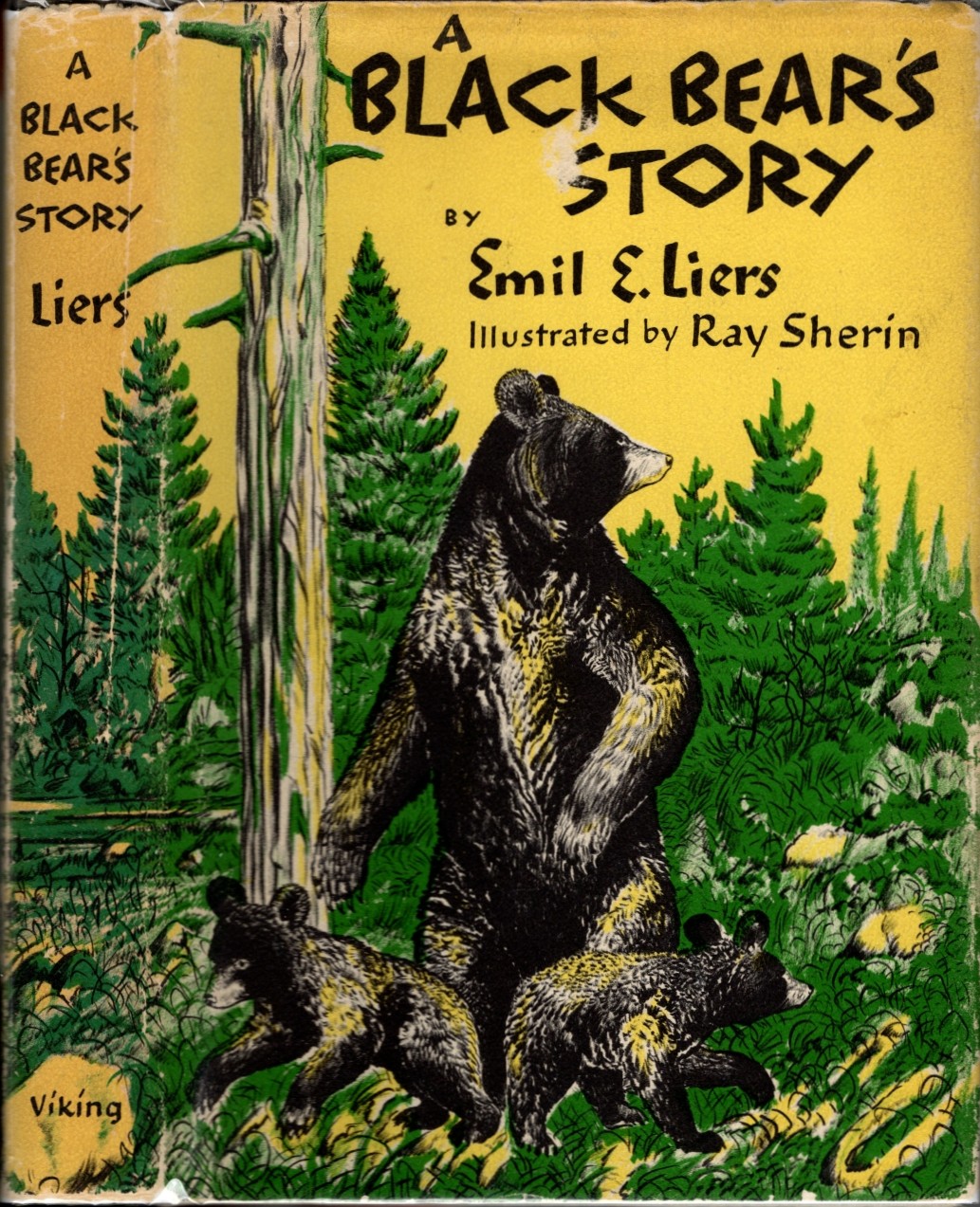 A Black Bear's Story