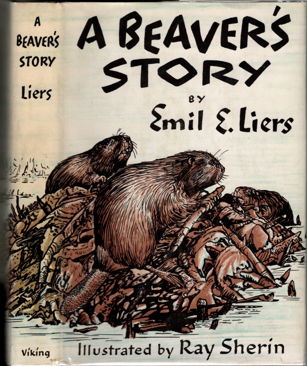 Image for A Beaver's Story A Beaver's Story