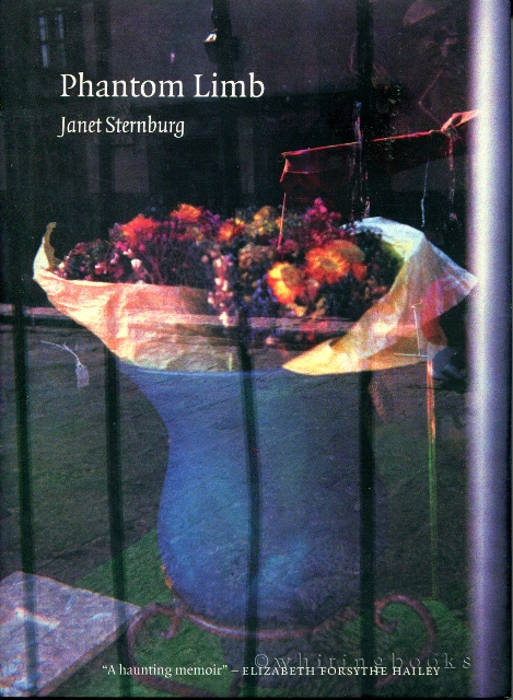 Image for Phantom Limb