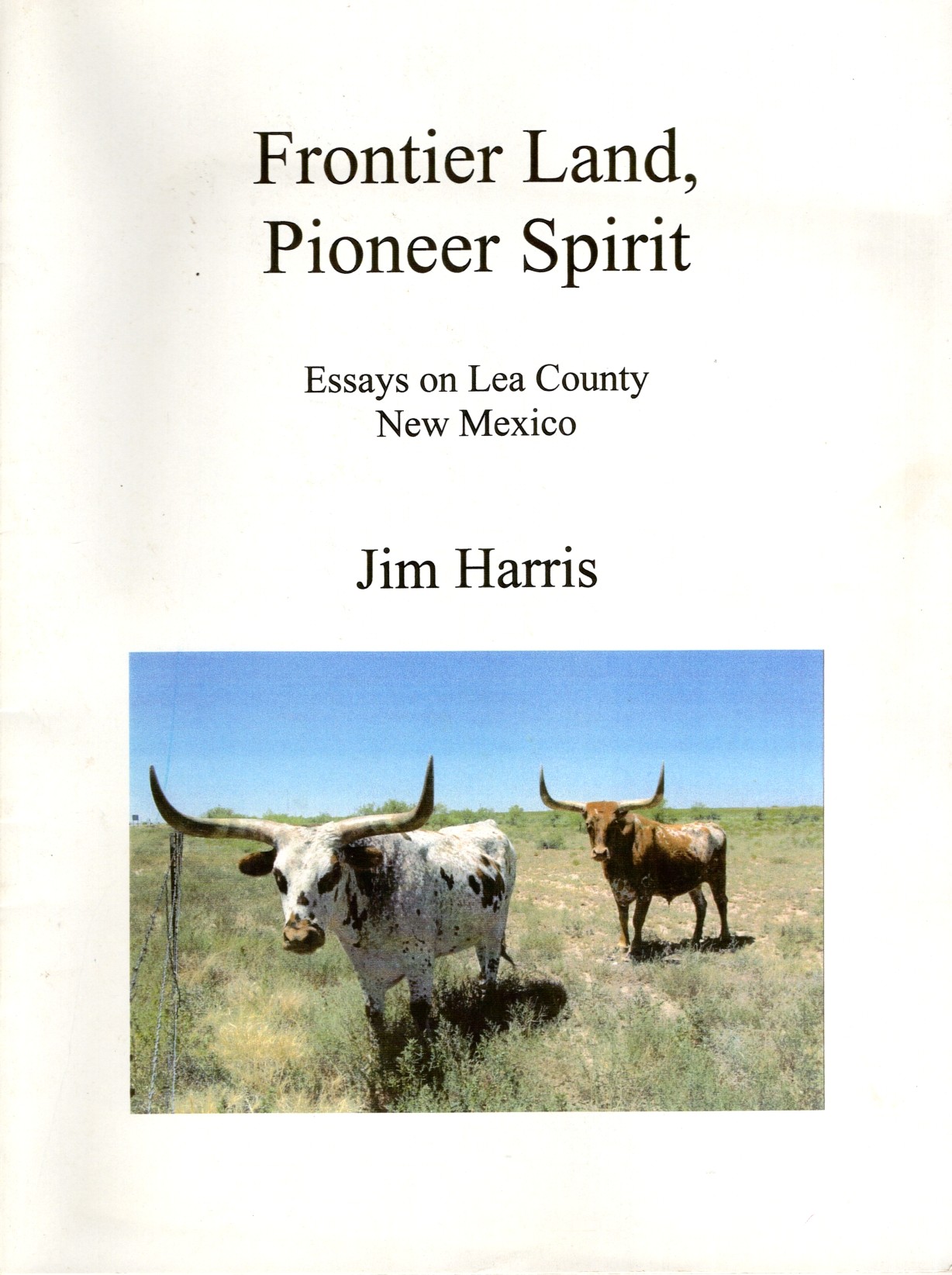 Frontier Land, Pioneer Spirit: Essays on Lea County, New Mexico