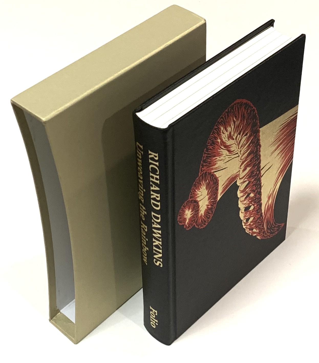 Unweaving the Rainbow: Science, Delusion and the Appetite for Wonder