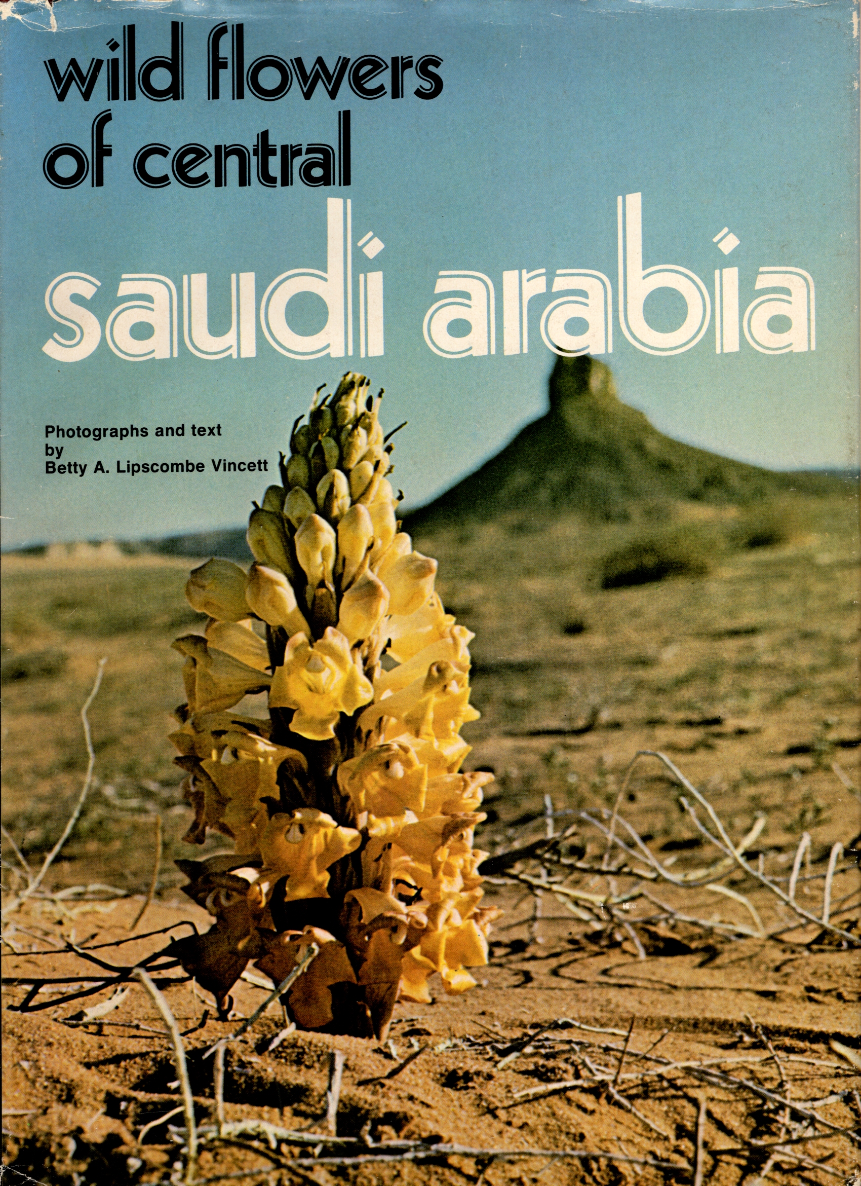 Wild Flowers of Central Saudi Arabia