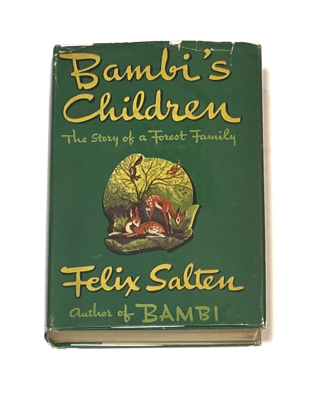 Image for Bambi's Children: The Story of a Forest Family Bambi's Children: The Story of a Forest Family