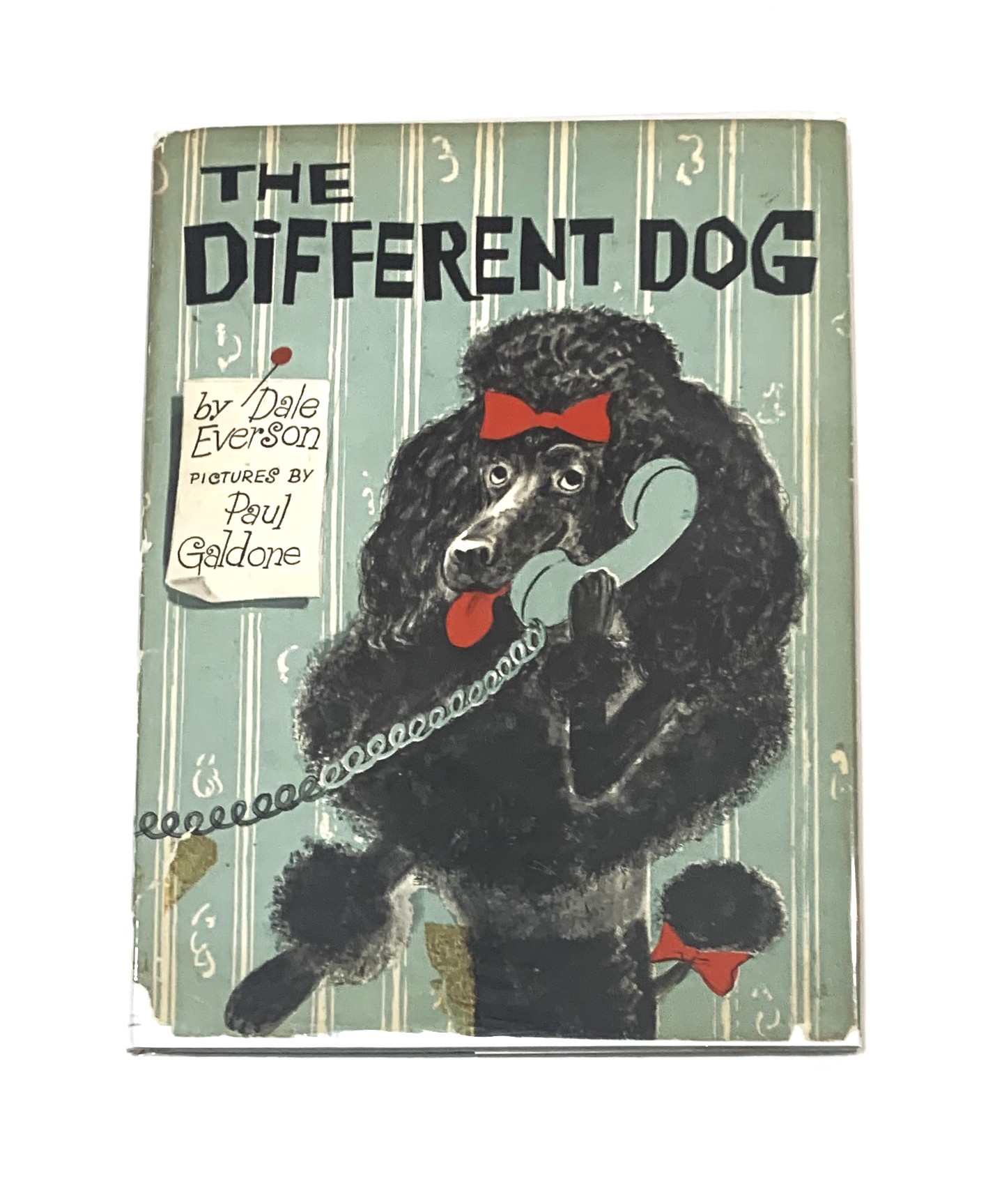 Image for The Different Dog The Different Dog