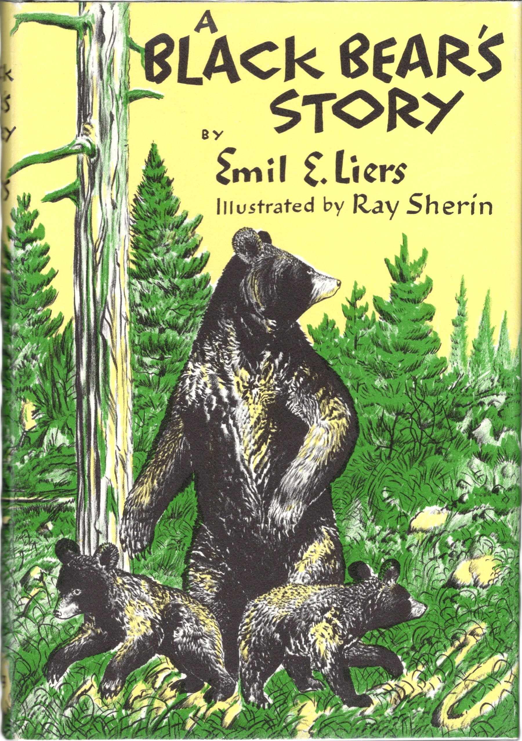 Image for A Black Bear's Story A Black Bear's Story