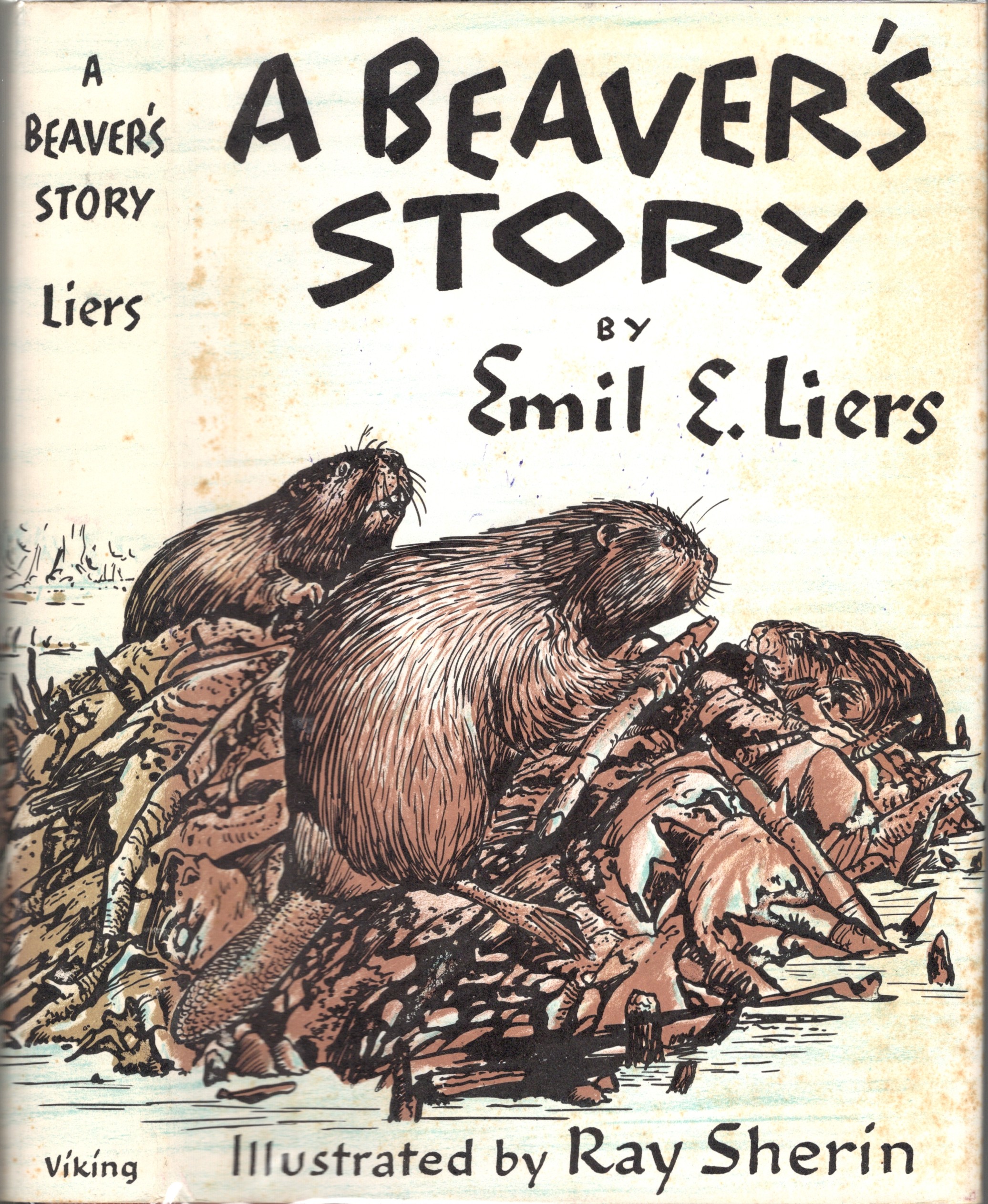 Image for A Beaver's Story A Beaver's Story