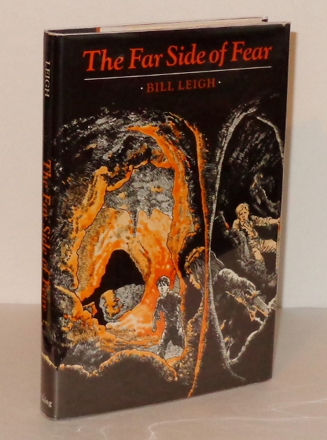 Image for The Far Side of Fear