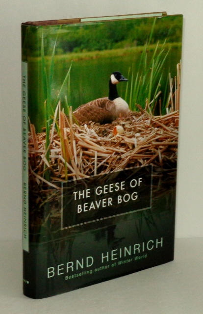 Image for The Geese Of Beaver Bog