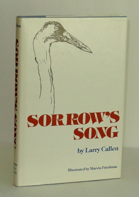 Image for Sorrow's Song