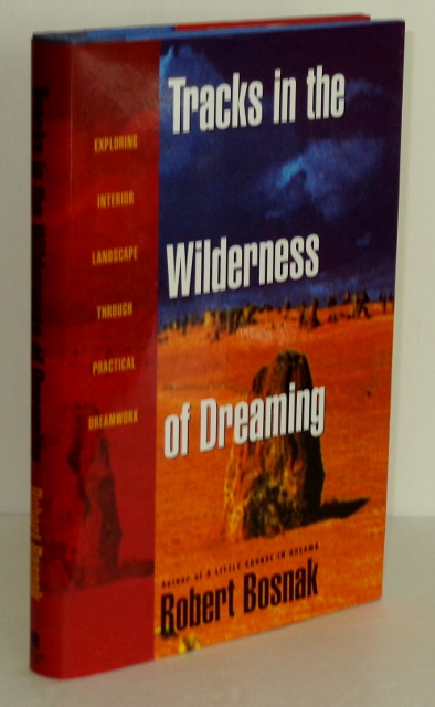 Image for Tracks in the Wilderness of Dreaming: Exploring Interior Landscape Through Practical Dreamwork