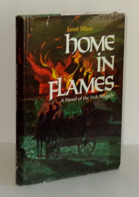 Image for Home in Flames: A Novel of the Irish Struggle