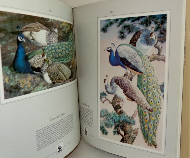 Image for Tunnicliffe's Birdlife Tunnicliffe's Birdlife