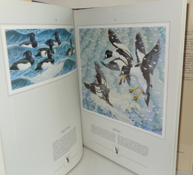 Image for Tunnicliffe's Birdlife
