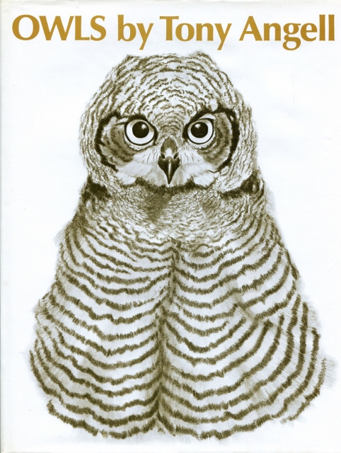 Image for Owls