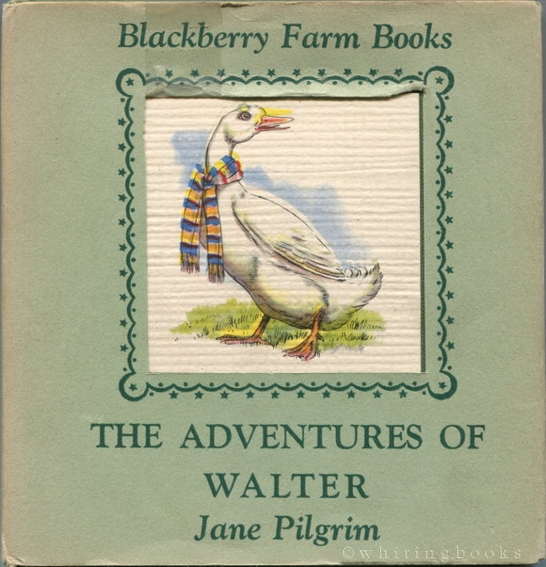 Image for The Adventures of Walter