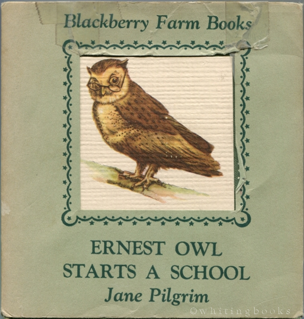 Image for Ernest Owl Starts a School