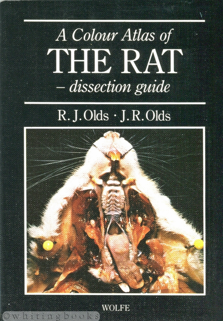 Image for Colour Atlas of the Rat--Dissection Guide Colour Atlas of the Rat--Dissection Guide